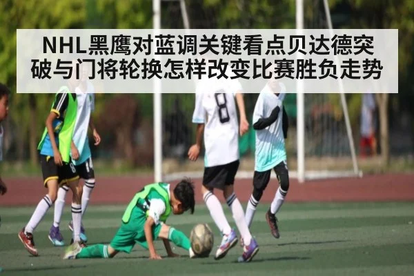 NHL黑鹰对蓝调关键看点贝达德突破与门将轮换怎样改变比赛胜负走势